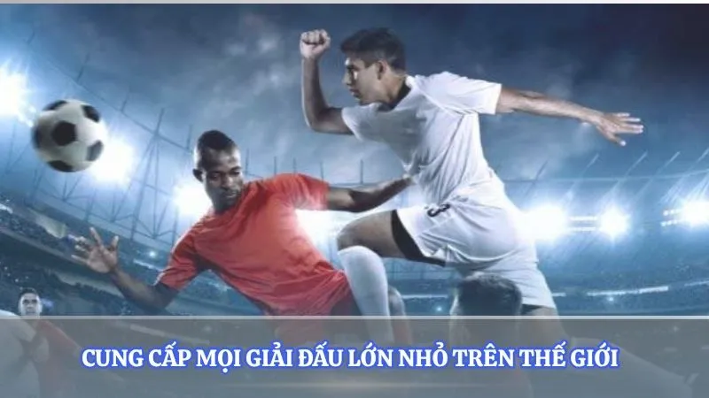 Cung cấp mọi giải đấu lớn nhỏ trên Thế giới  